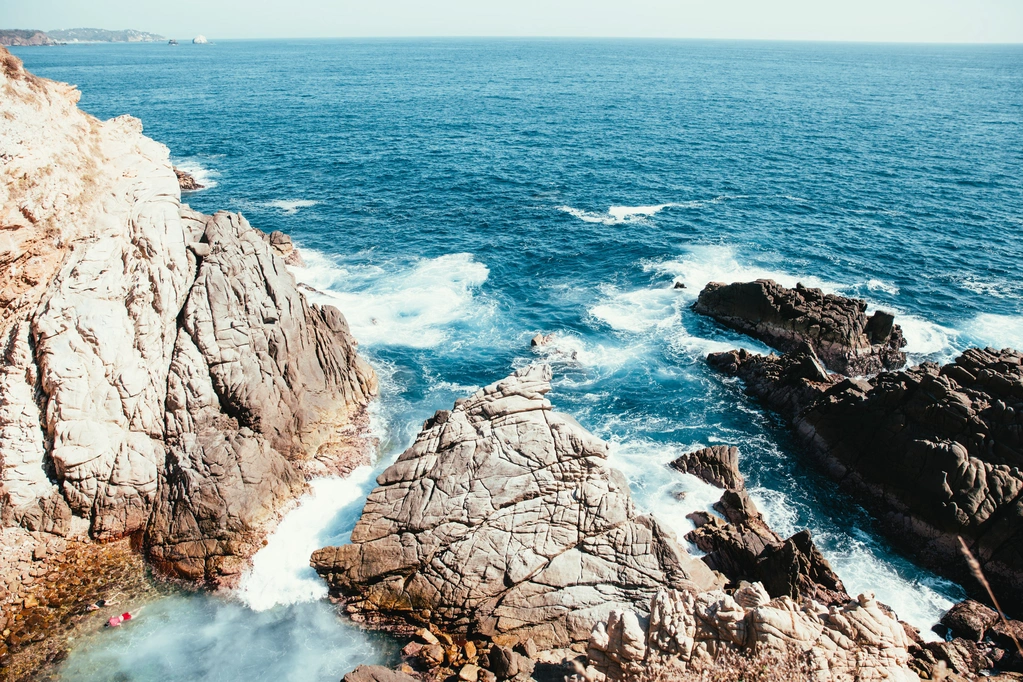 Ocean conservation - Balean about page